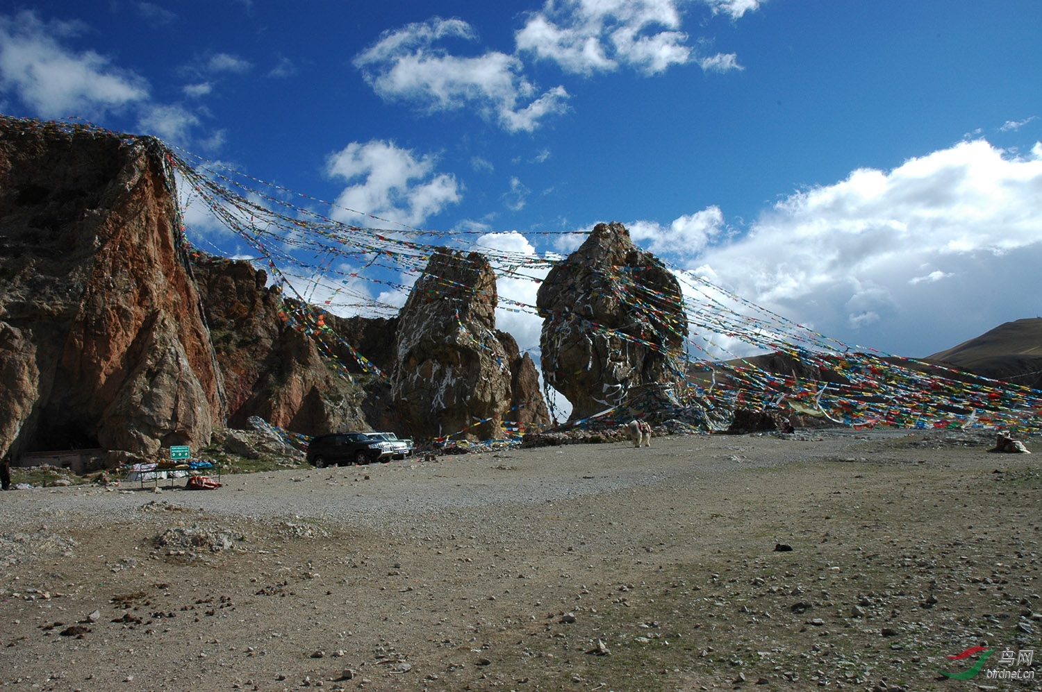 扎西半岛的迎宾石