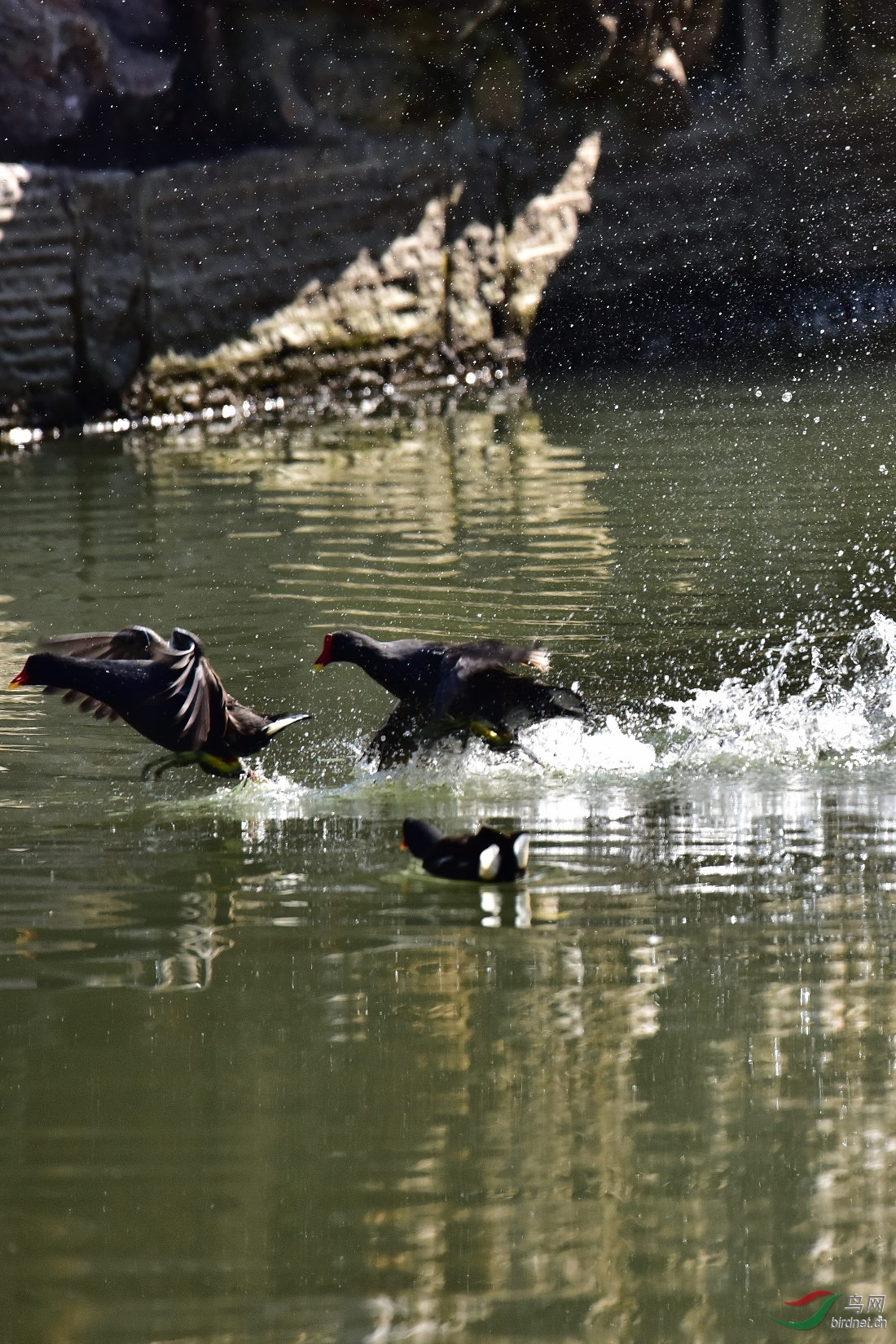 DSC_0124.JPG