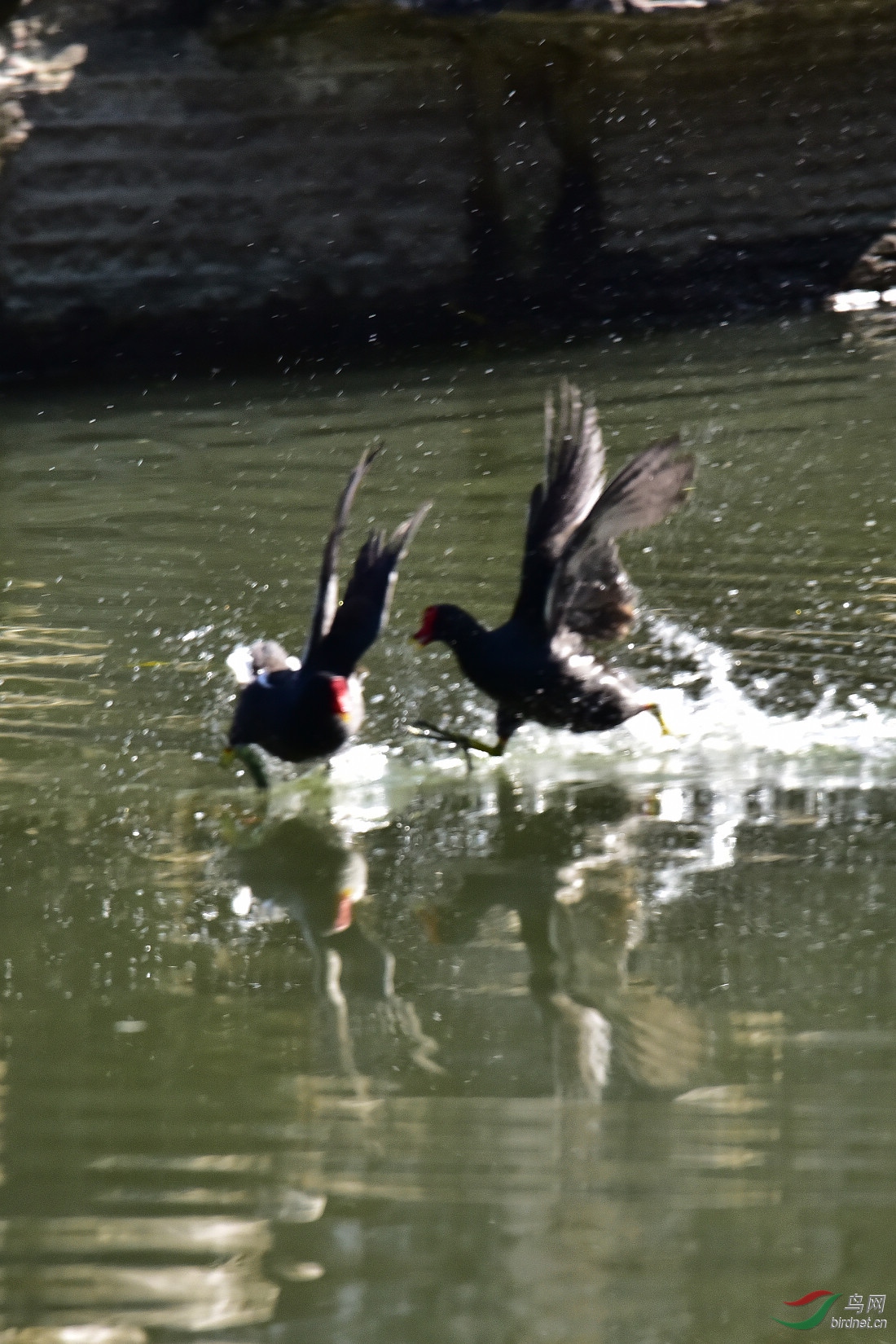 DSC_0125.JPG