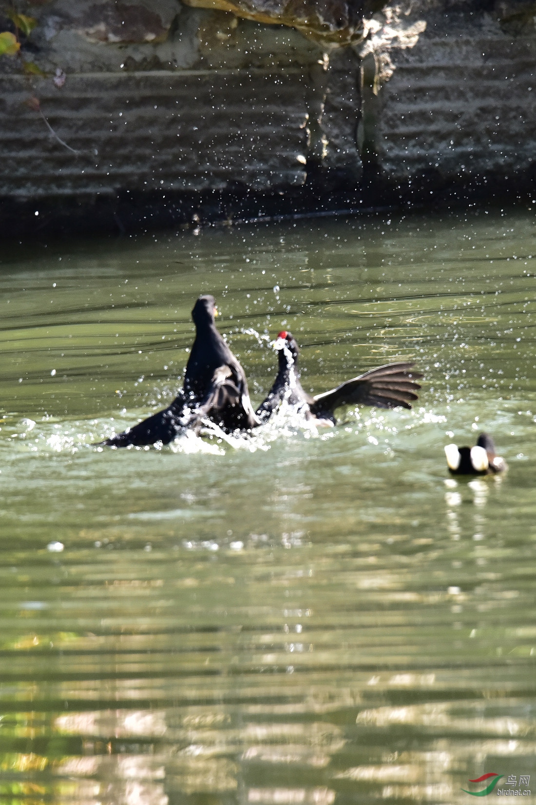 DSC_0129.JPG