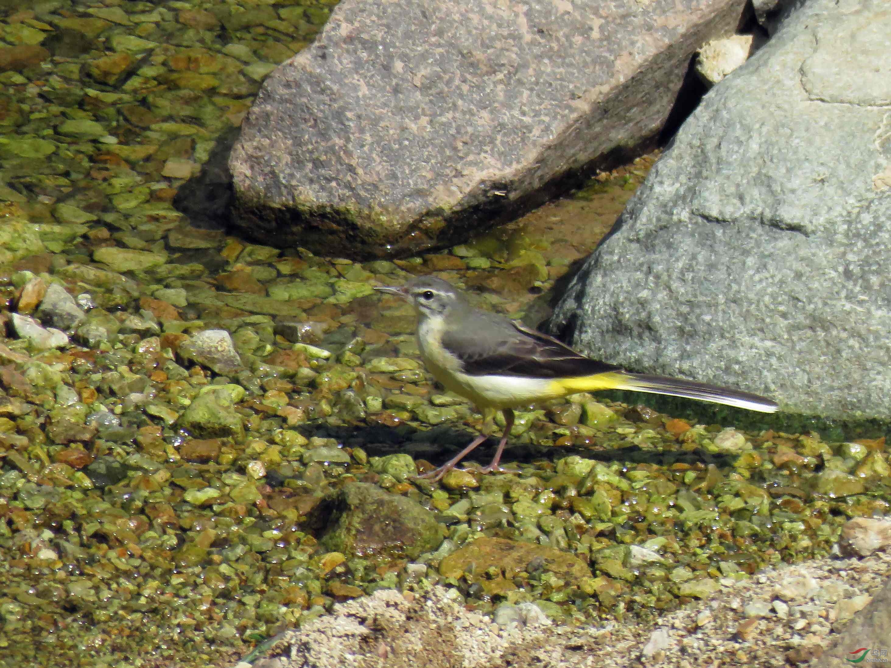 IMG_5673.JPG