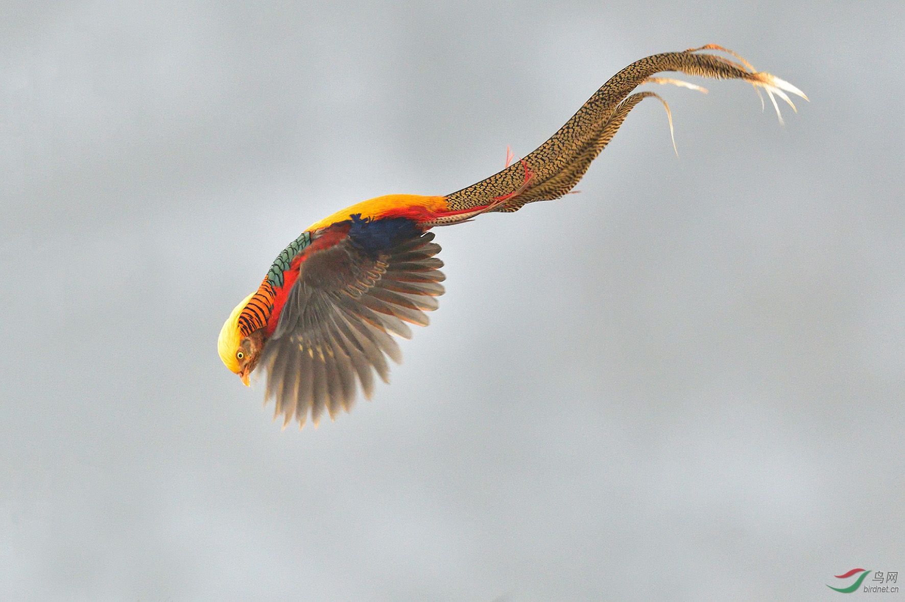 DSC_6597_00002_01���� ��Ƭ=.jpg