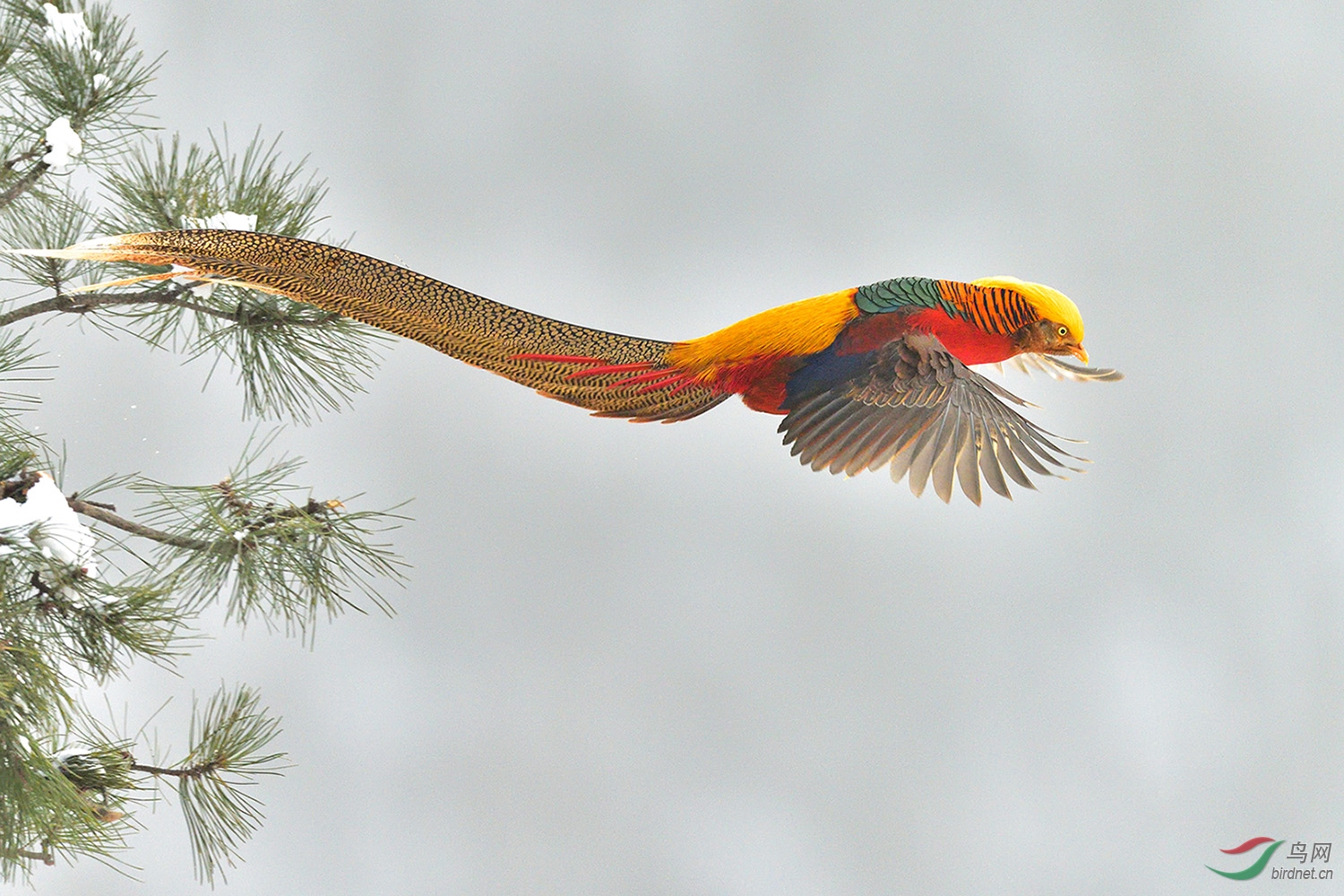 DSC_6603_00004_01���� ��Ƭ.jpg