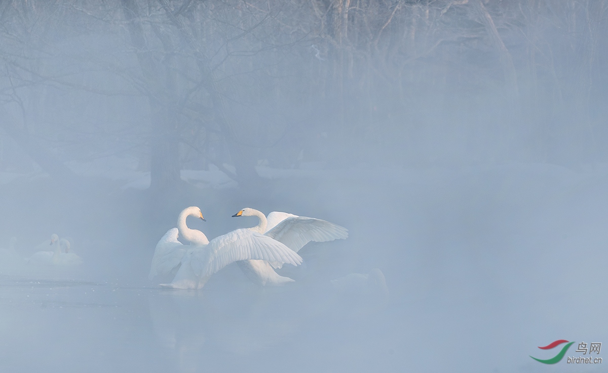 _DSC0918_��ͼ��.jpg