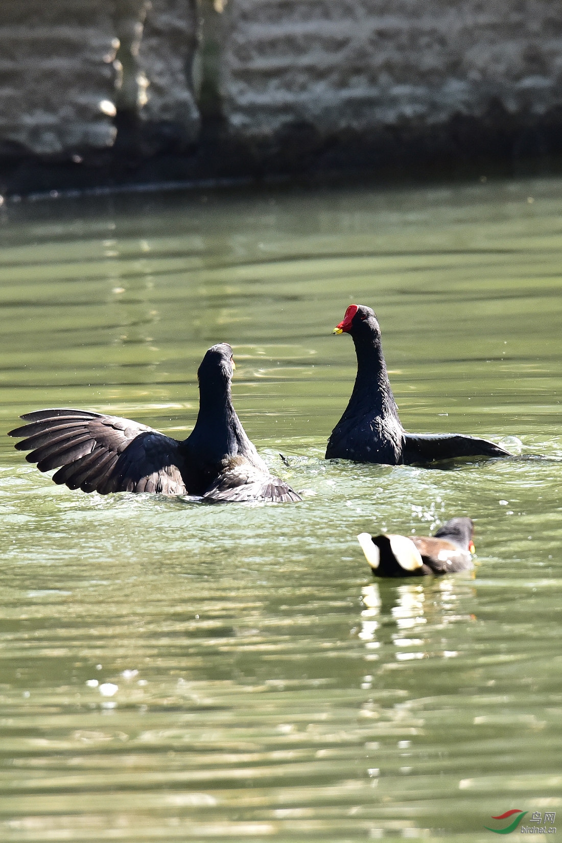 DSC_0132.JPG