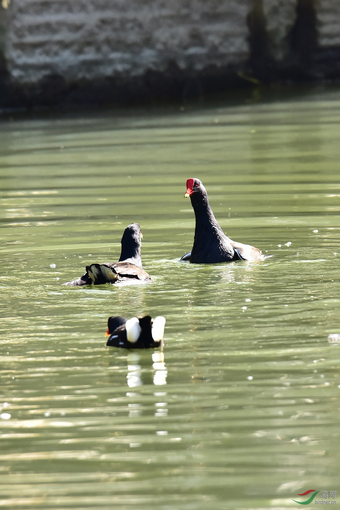 DSC_0136.JPG