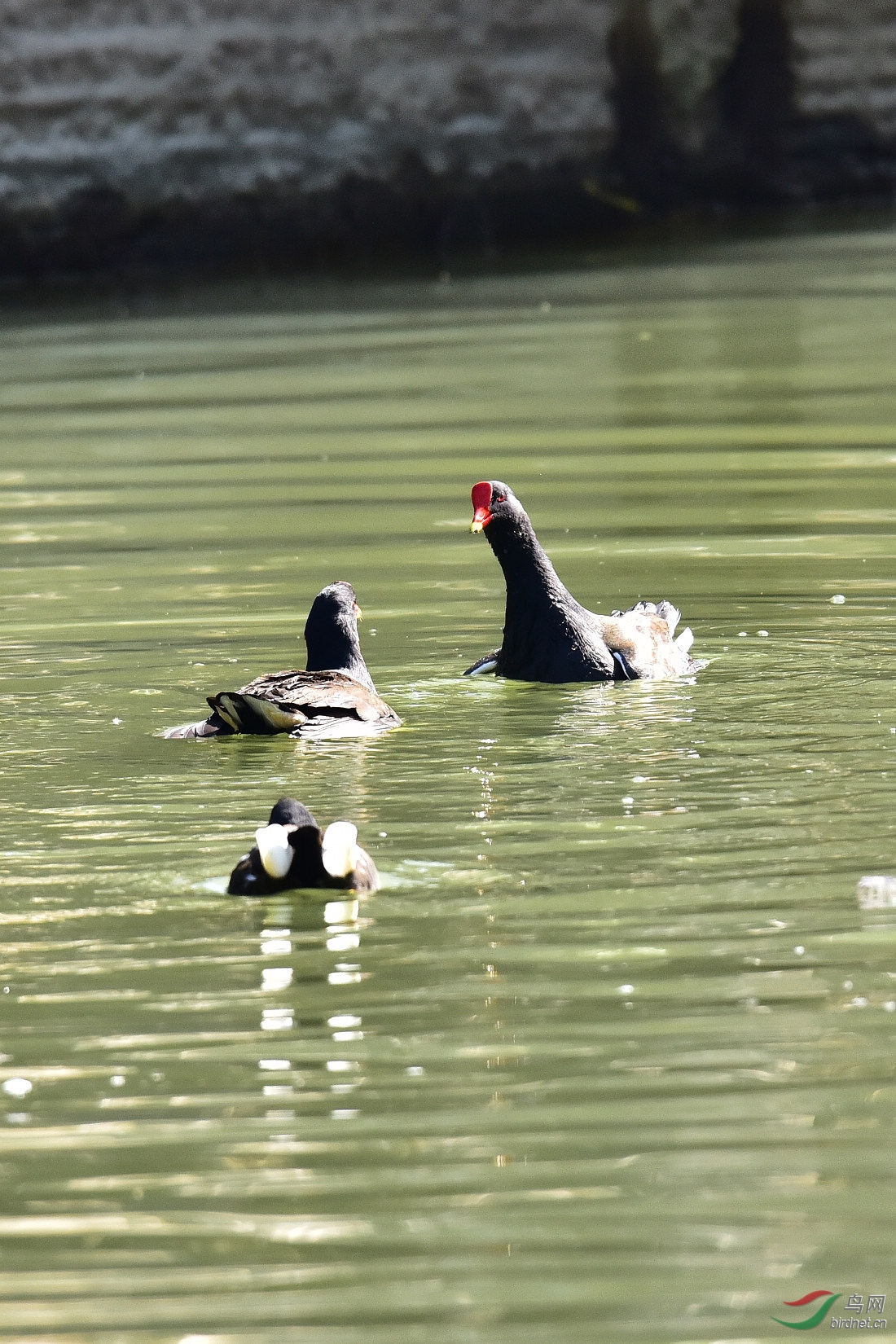 DSC_0137.JPG