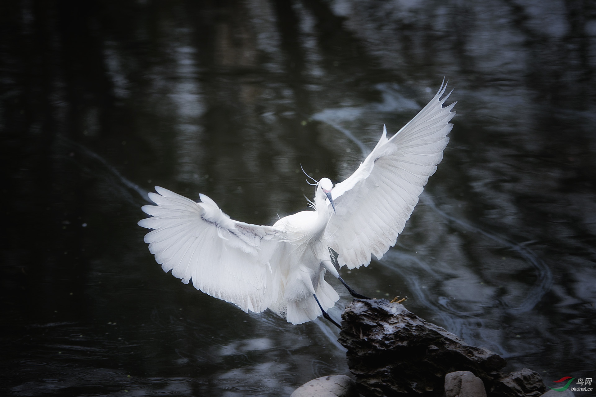DSC_9140b.jpg