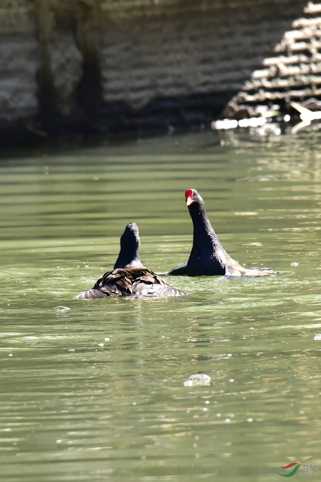 DSC_0143.JPG