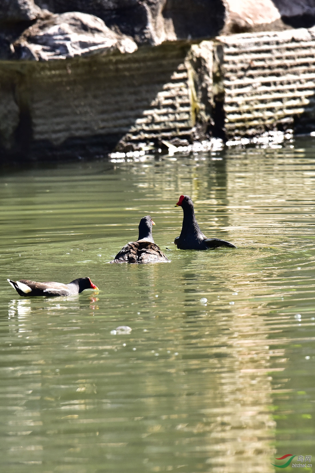 DSC_0148.JPG