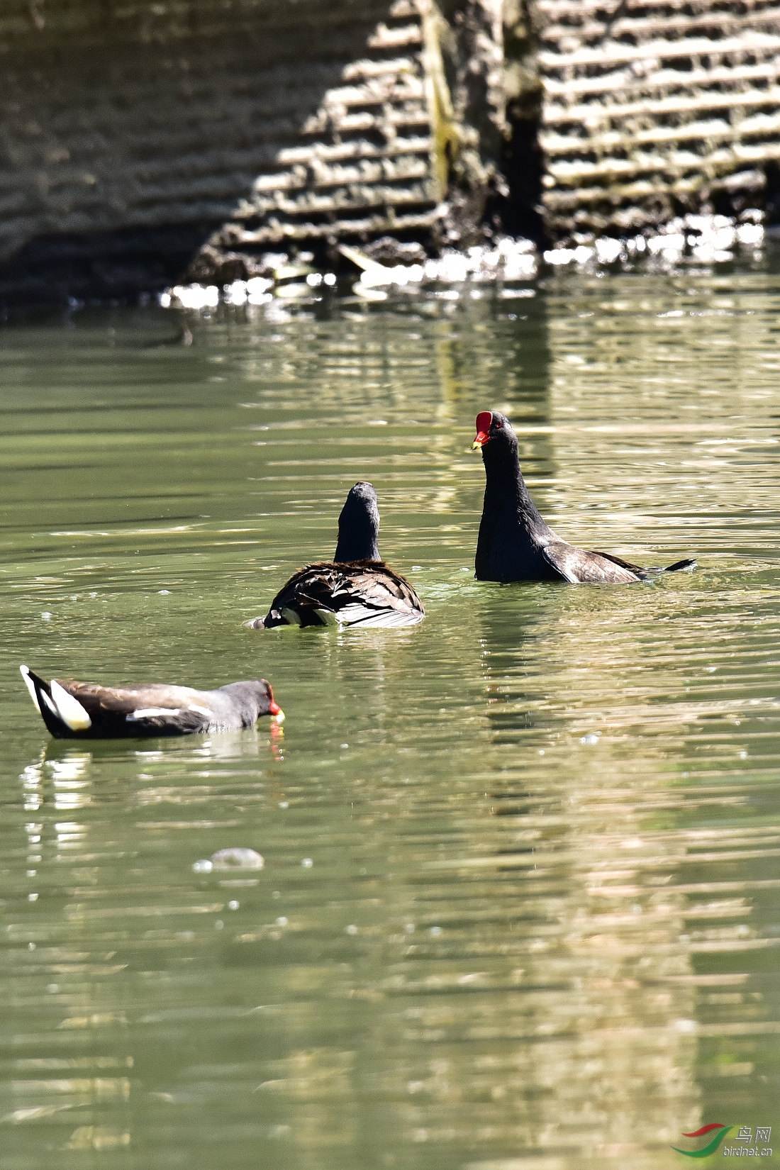 DSC_0150.JPG