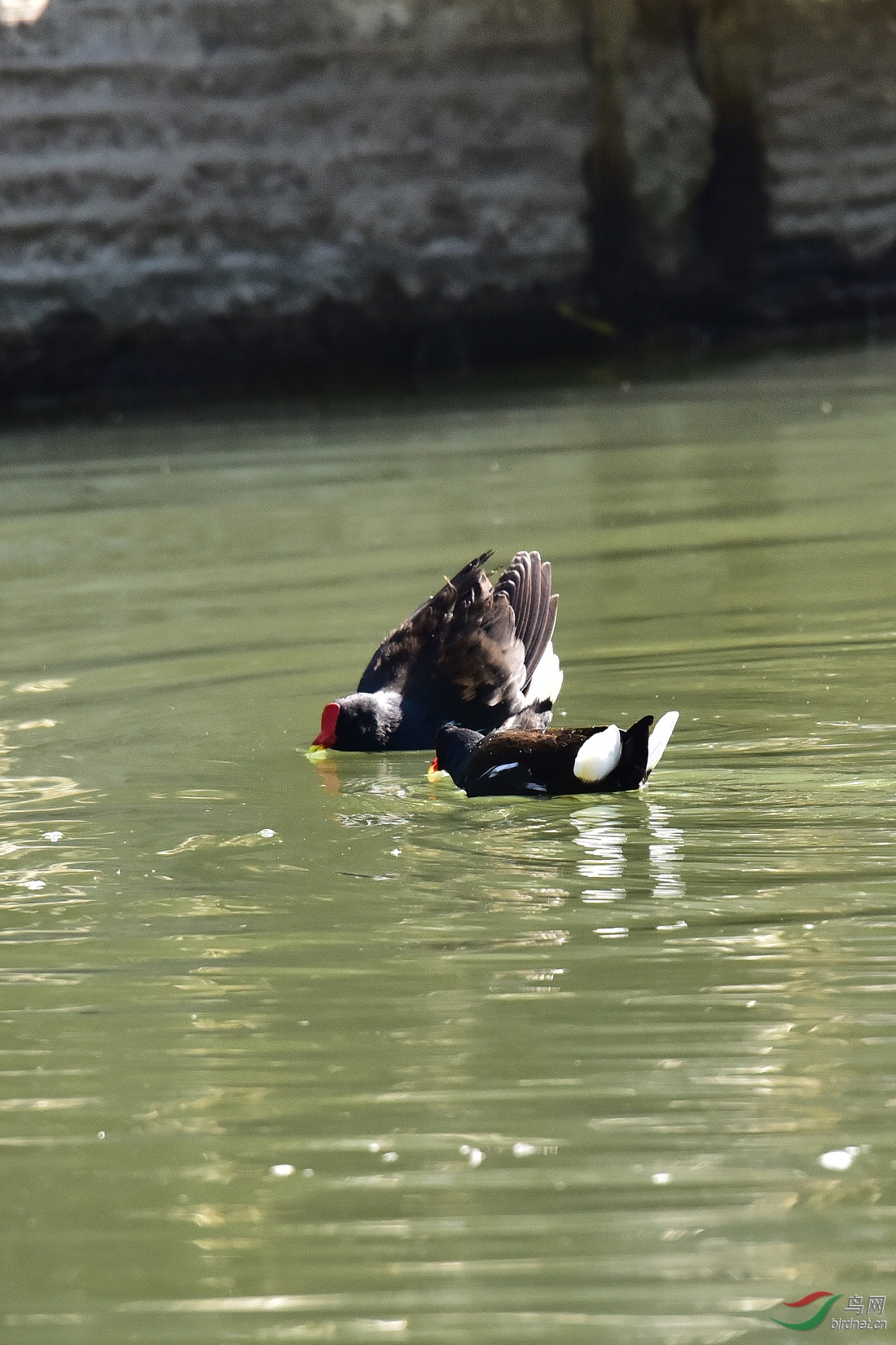 DSC_0151.JPG