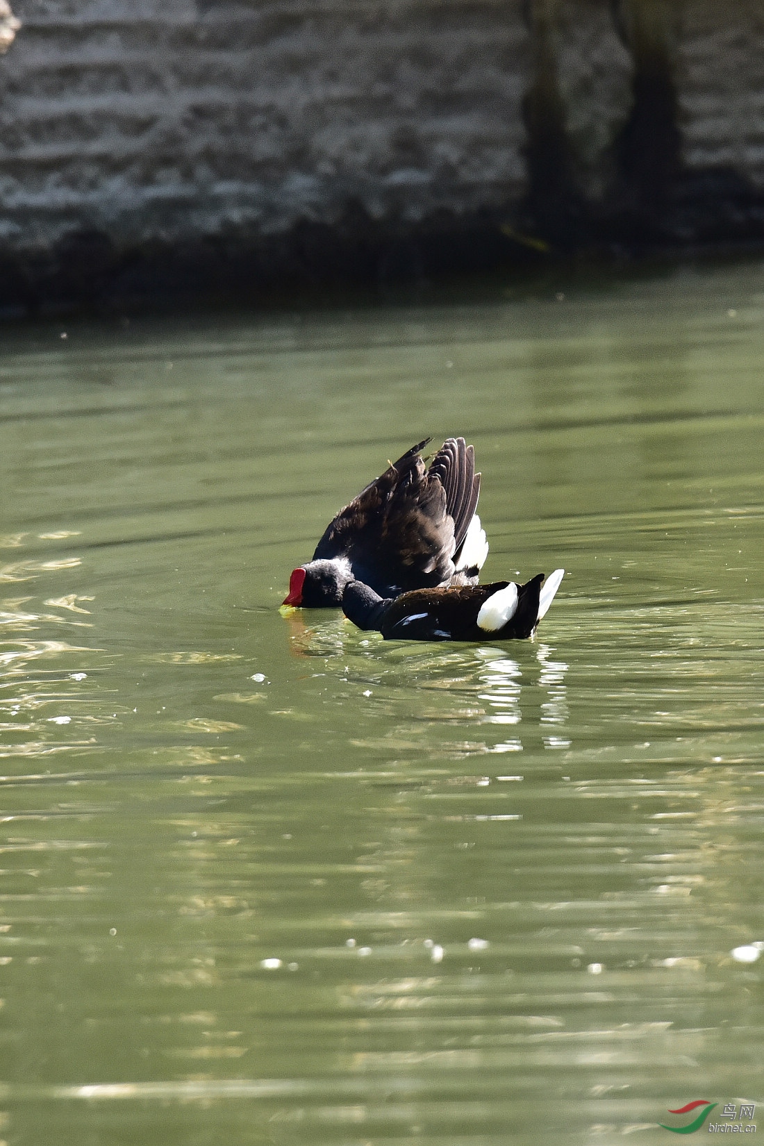 DSC_0152.JPG
