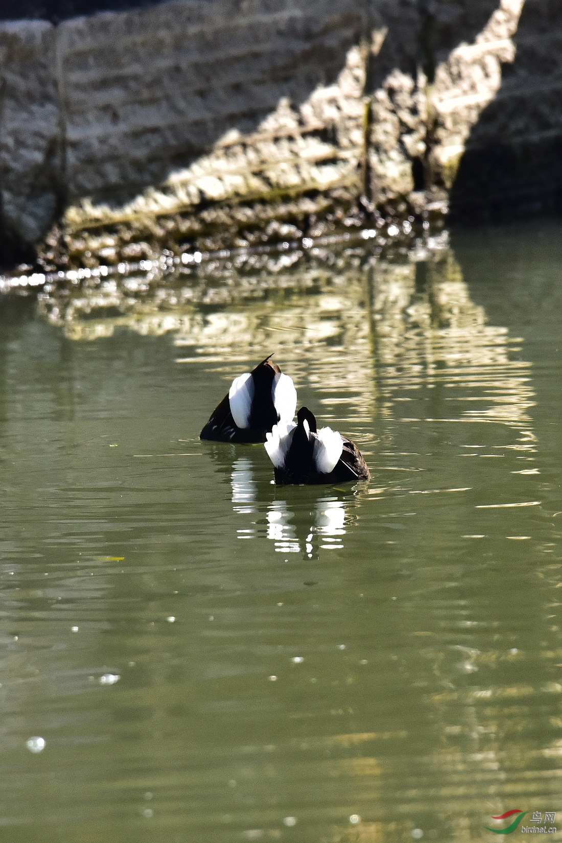 DSC_0158.JPG