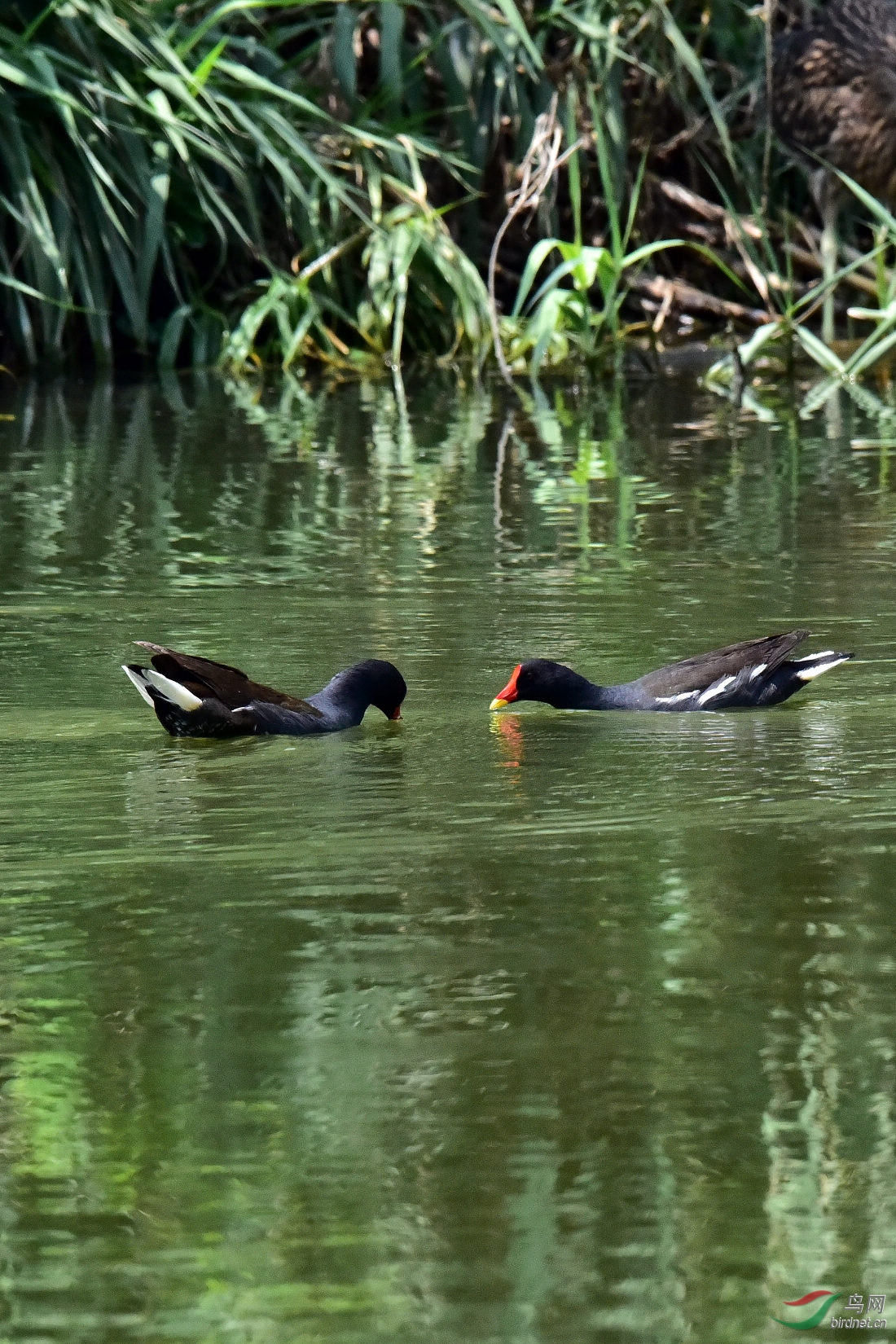 DSC_0161.JPG