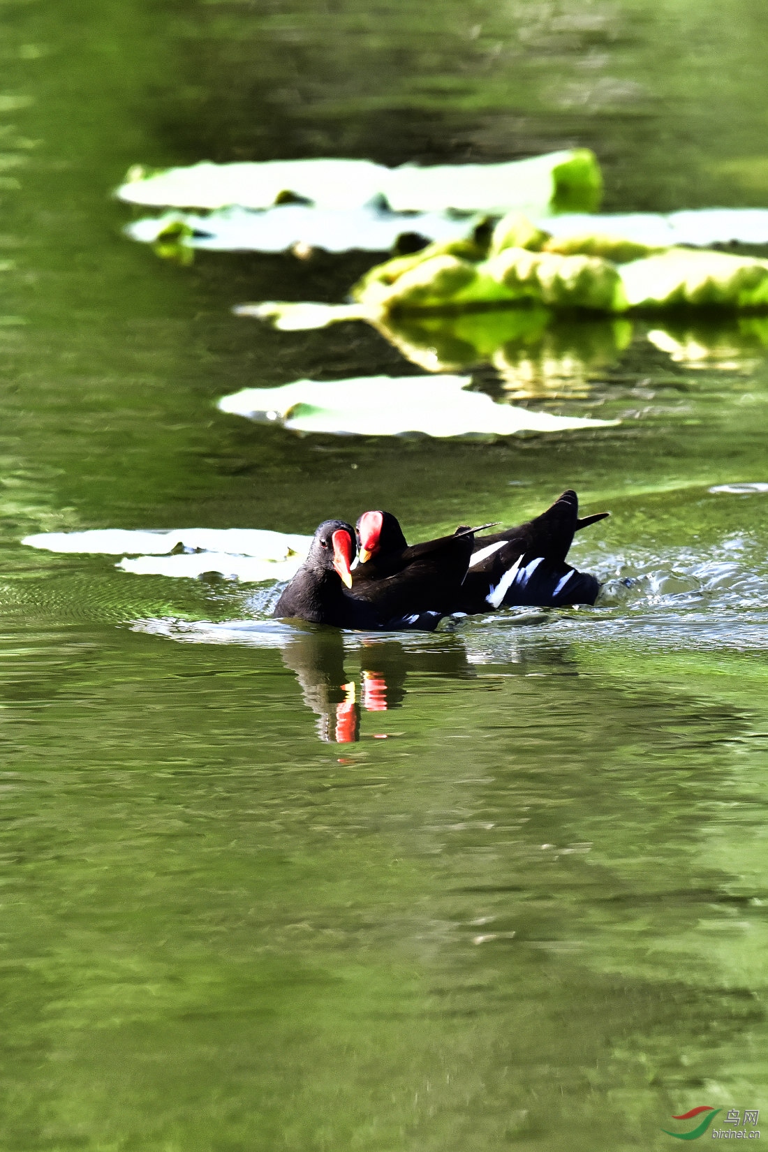 DSC_0164.JPG