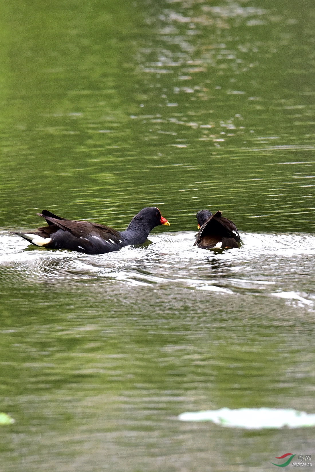 DSC_0177.JPG