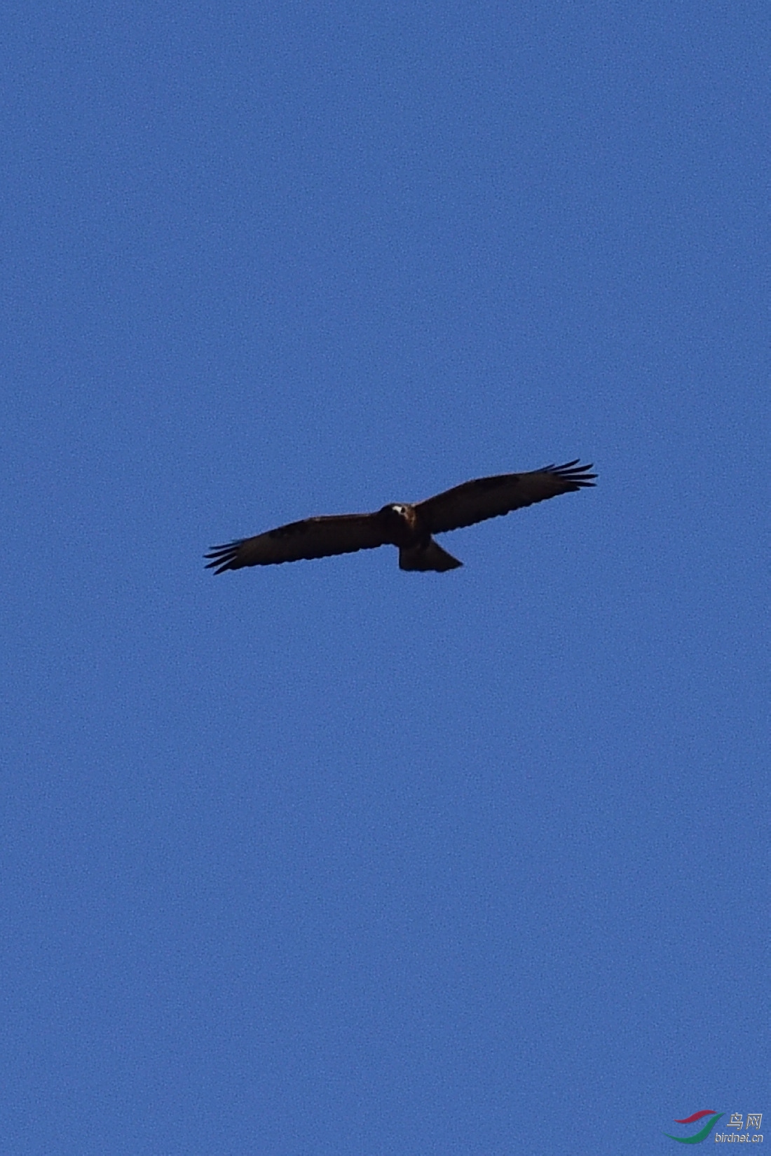 DSC_0690.JPG