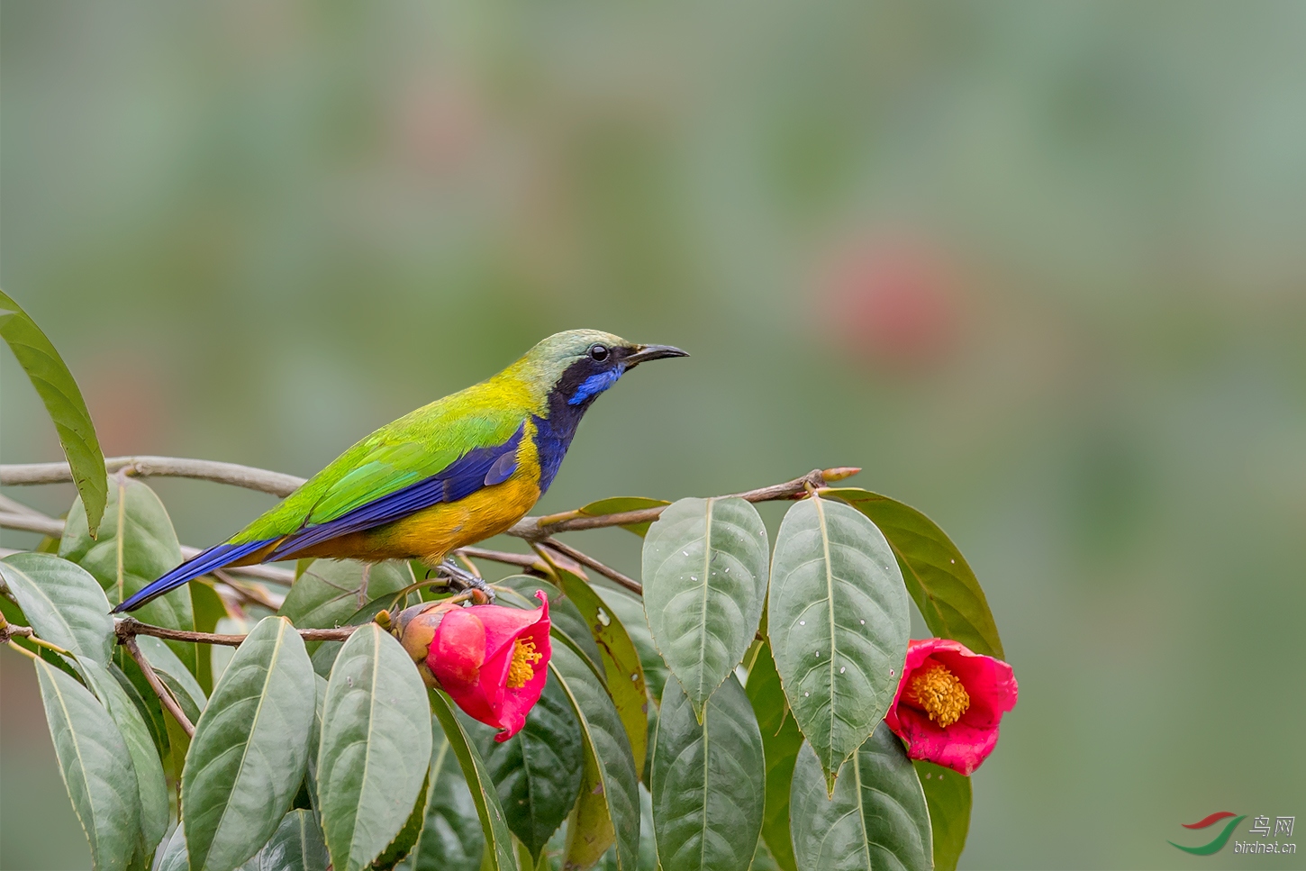 DSC_7316.jpg