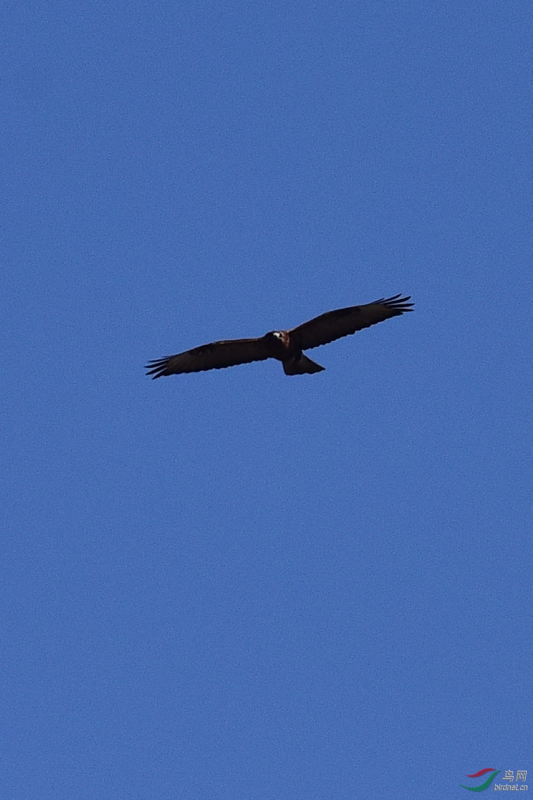 DSC_0691.JPG