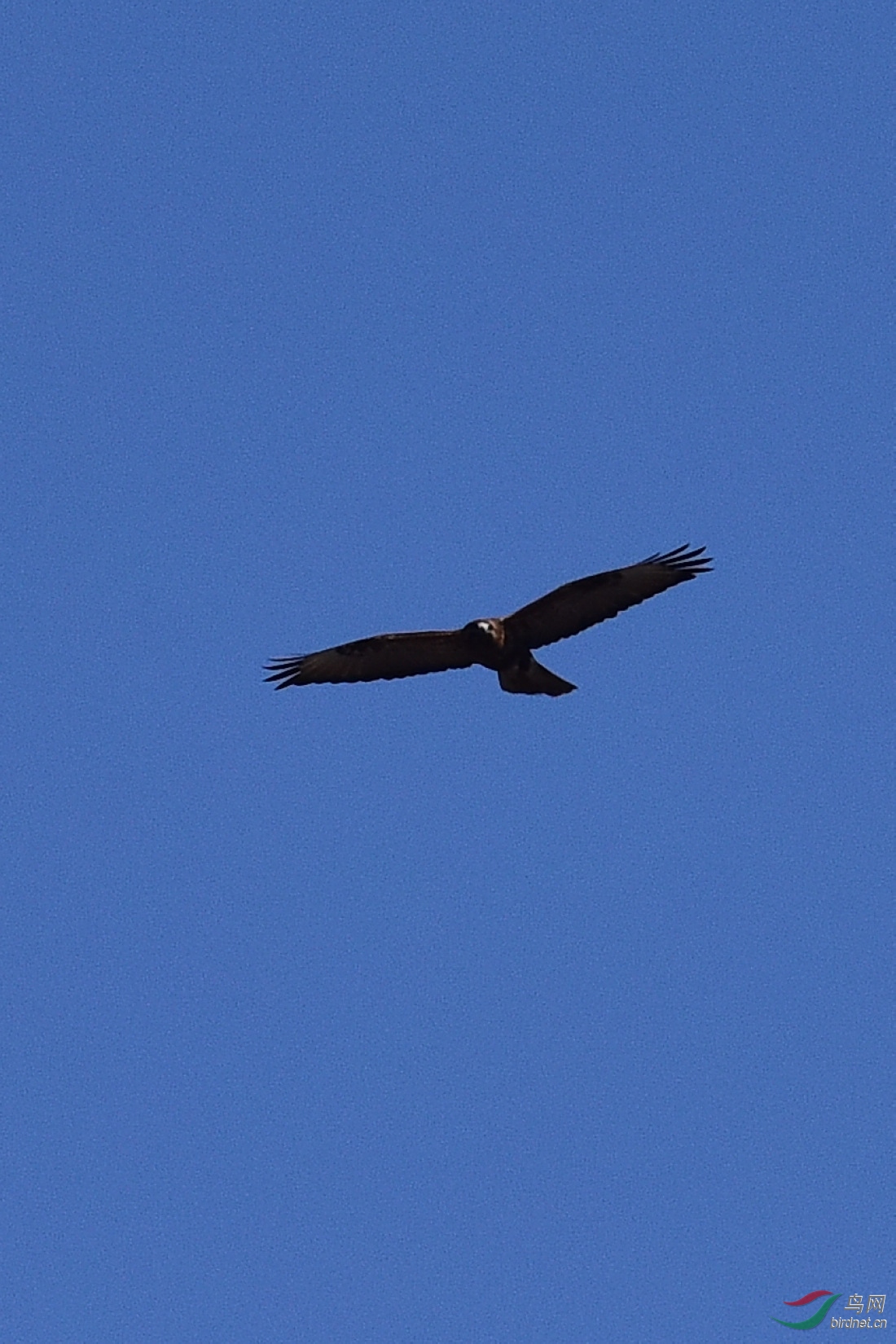 DSC_0692.JPG