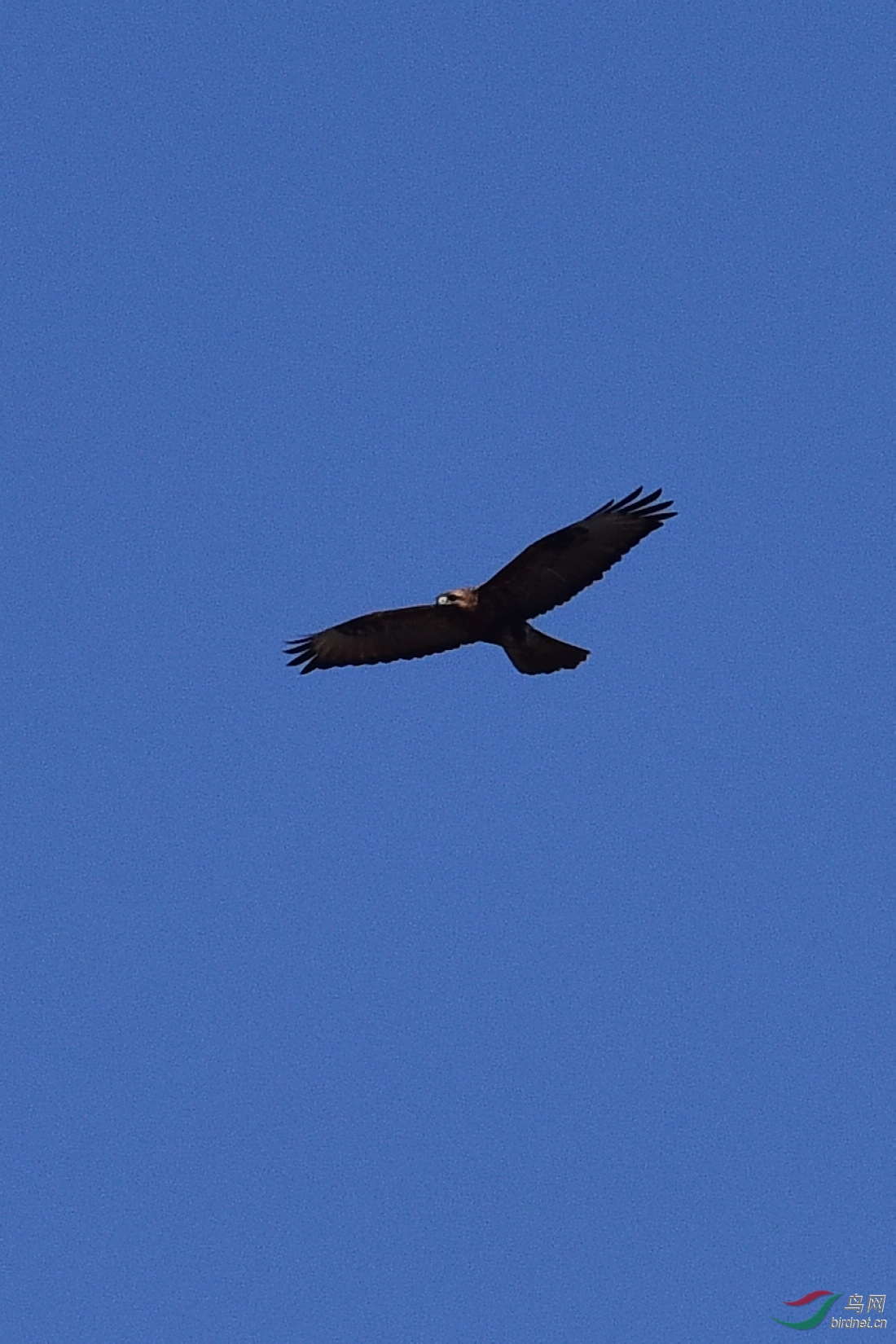 DSC_0695.JPG