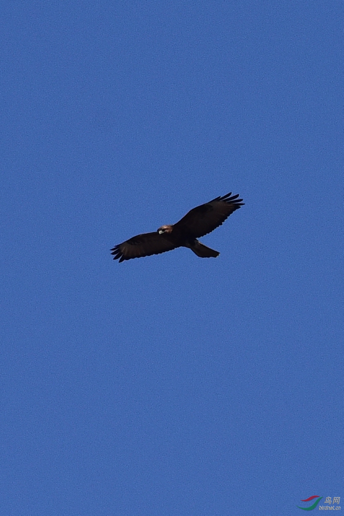 DSC_0698.JPG
