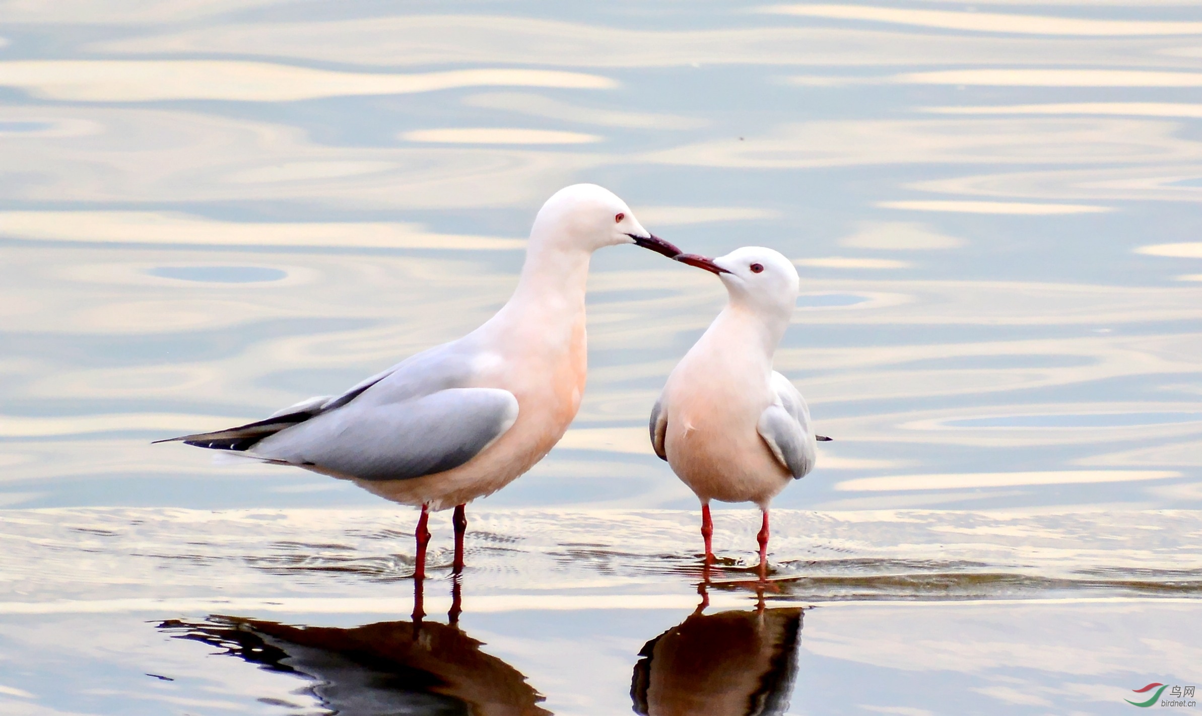 DSC_5345_conew1.jpg