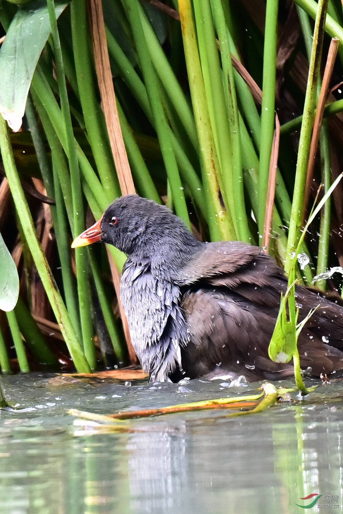 DSC_0182.JPG