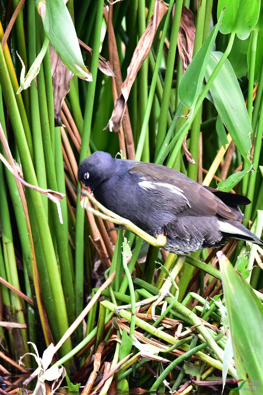 DSC_0188.JPG