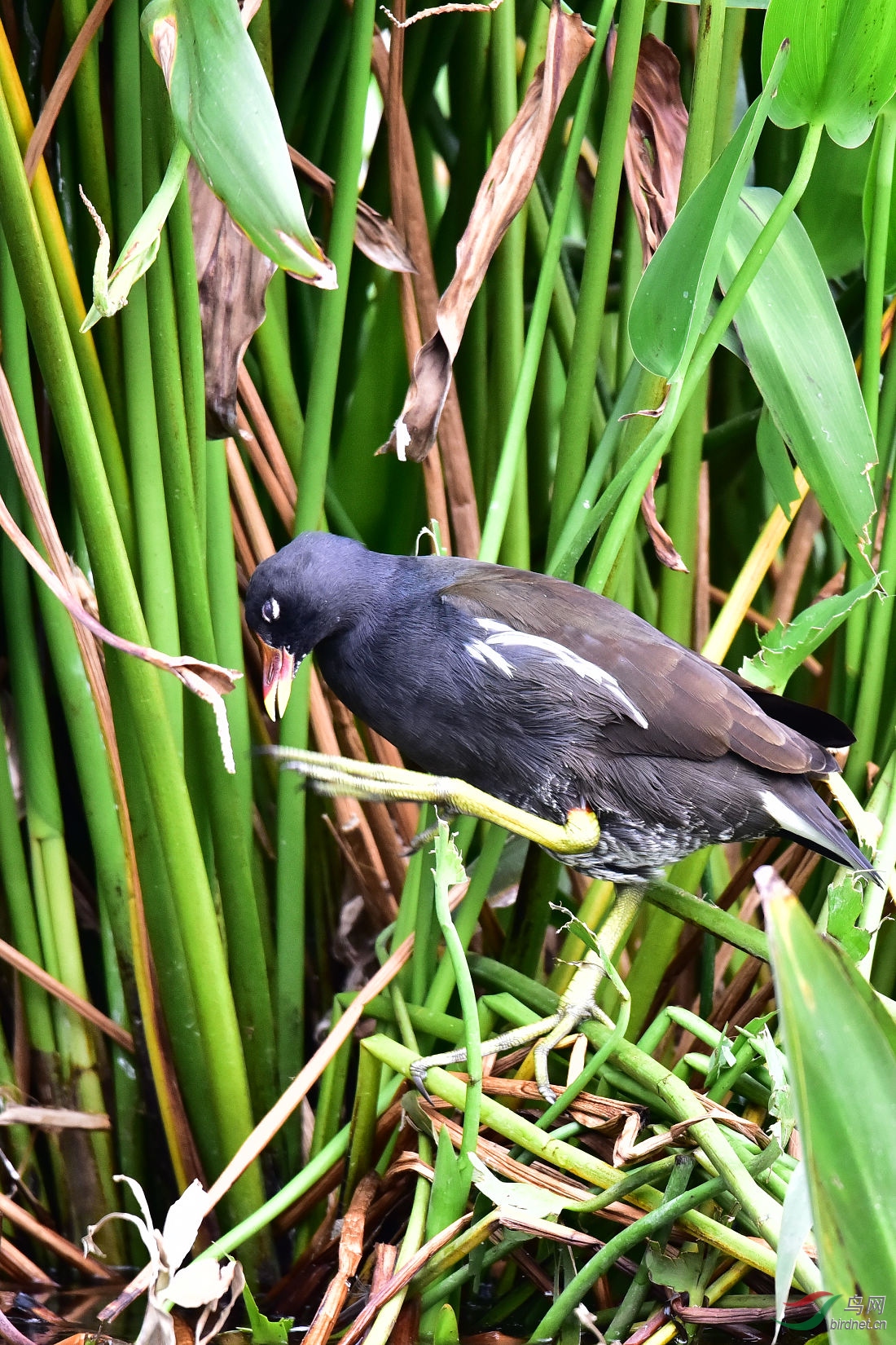 DSC_0189.JPG