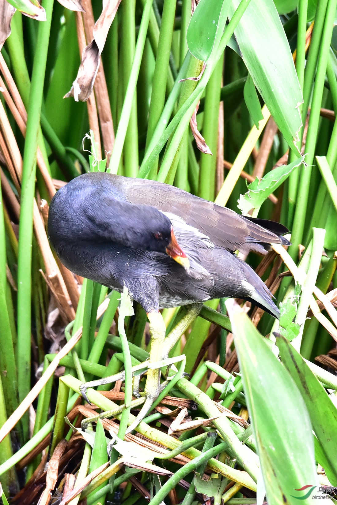 DSC_0196.JPG