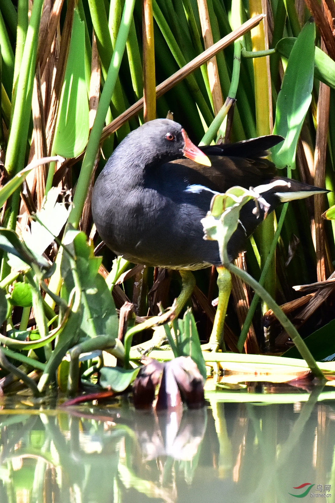 DSC_0197.JPG