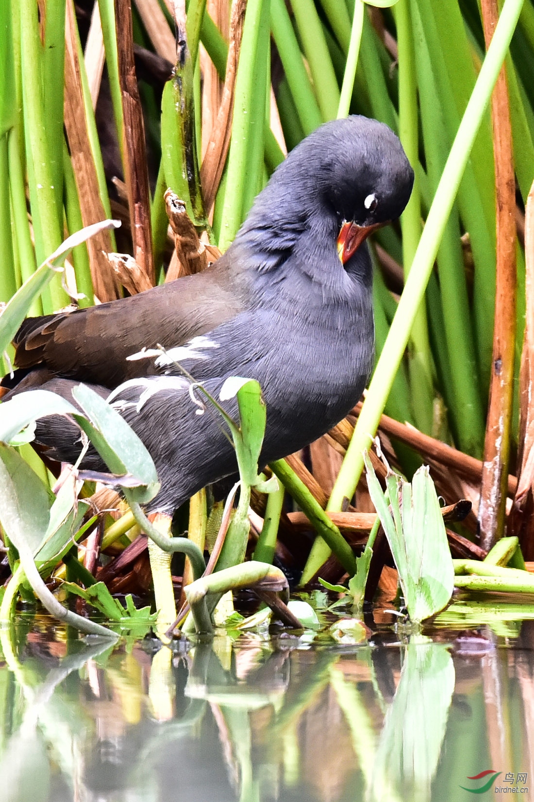 DSC_0198.JPG