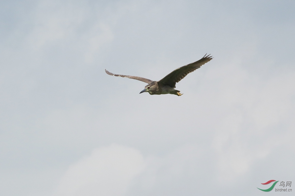 IMG_9123.JPG