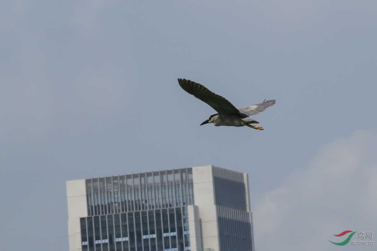 IMG_8895.JPG