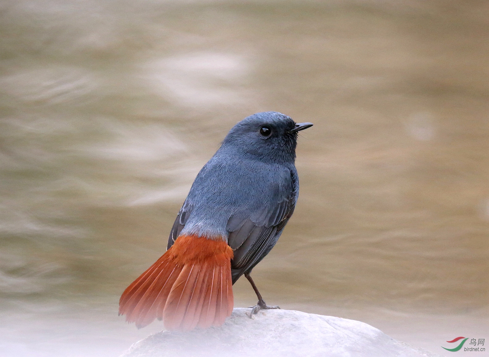 7M7A4058 ����.jpg