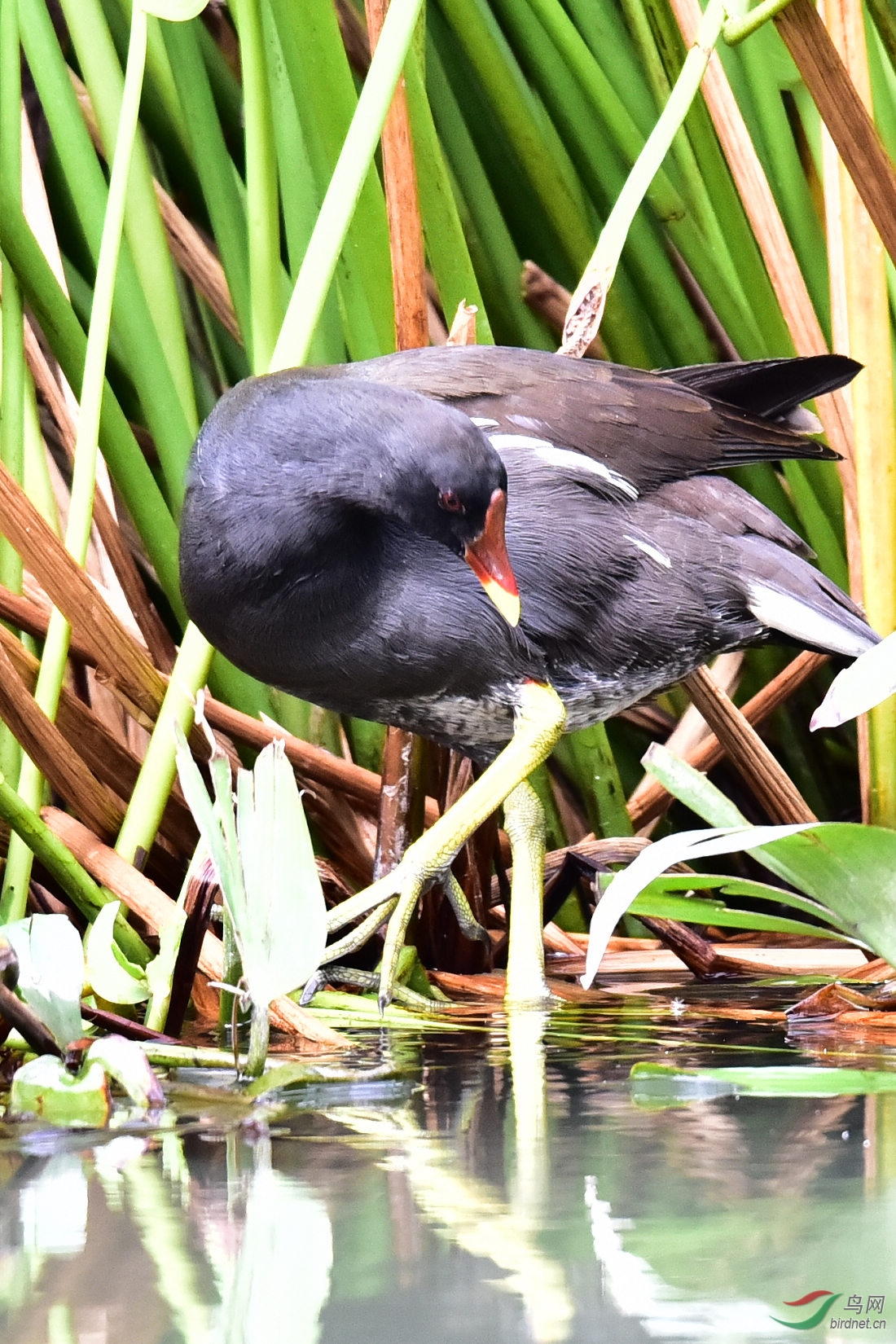 DSC_0204.JPG