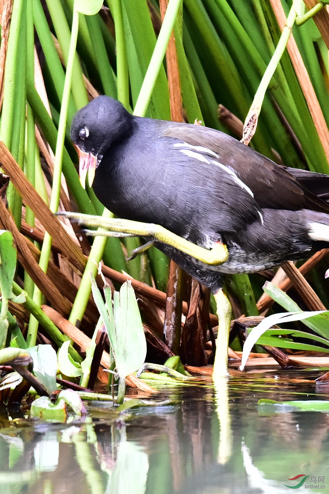 DSC_0205.JPG