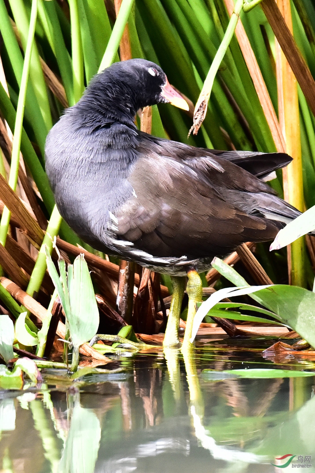DSC_0208.JPG
