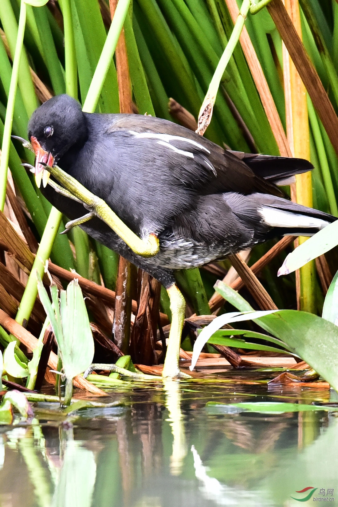 DSC_0210.JPG