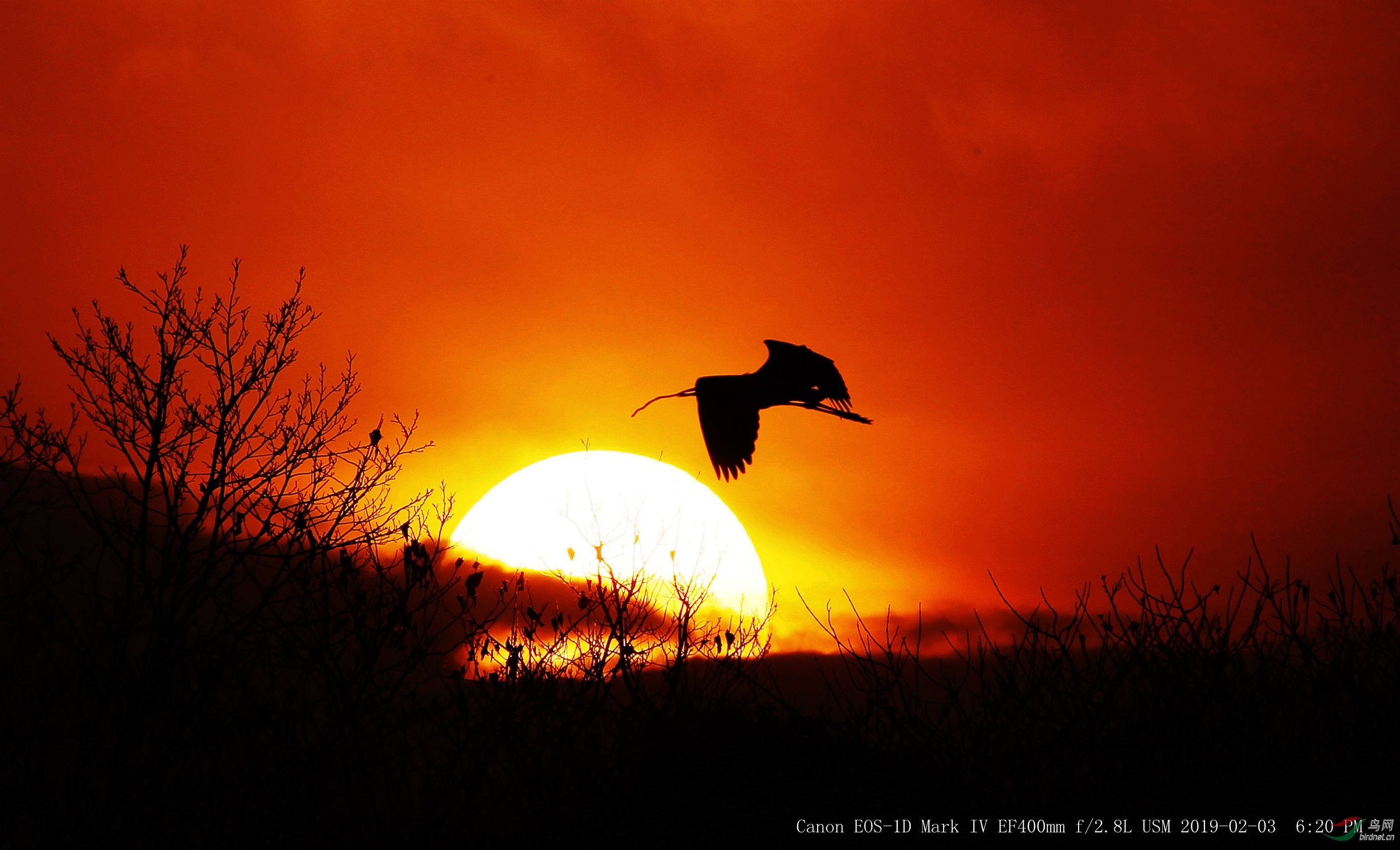 ���� CK8O0553_����.jpg