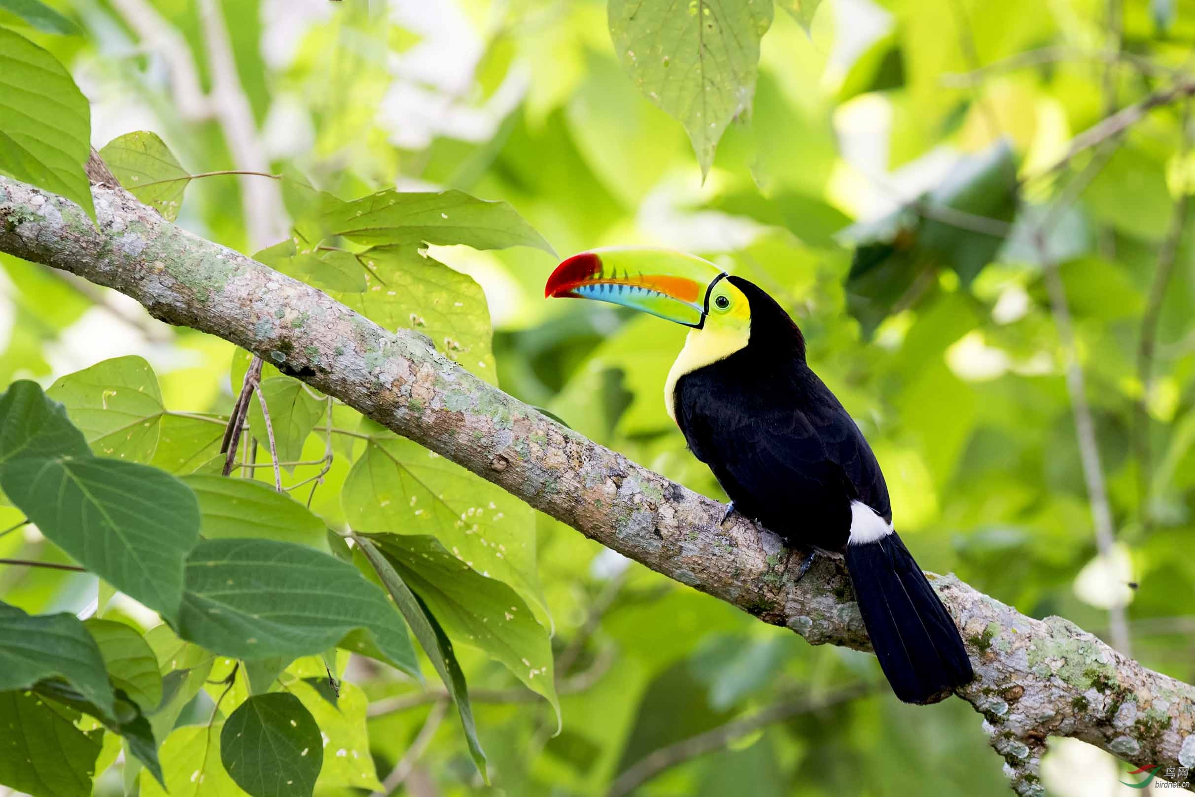 6--��С _9298.jpg