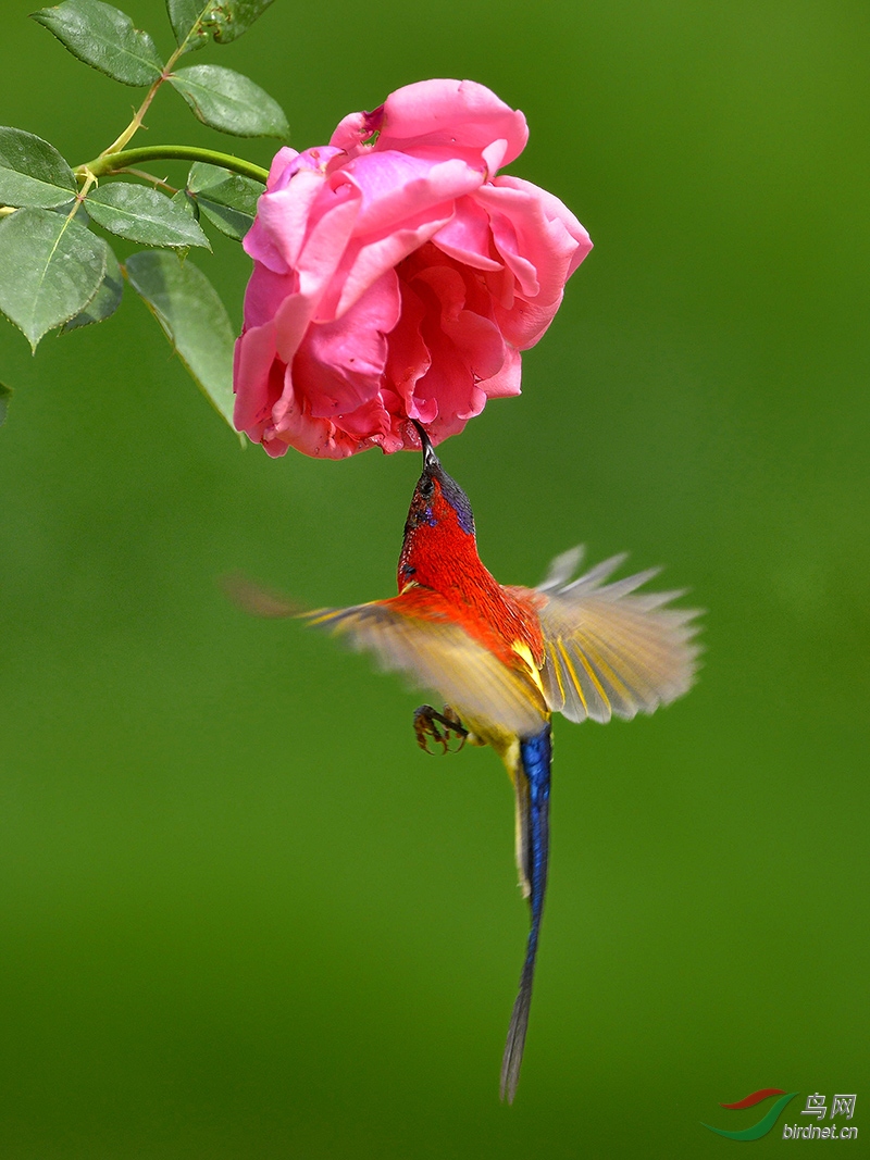 ���¶���̧ͷ