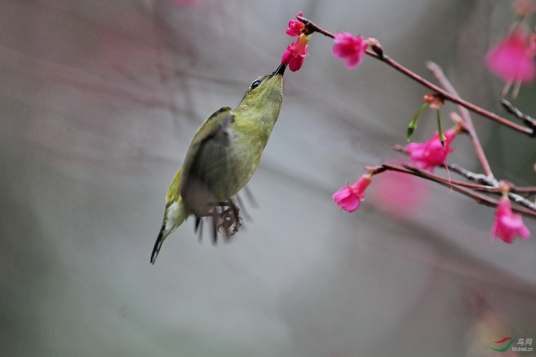 nk20190228_120100sa.jpg