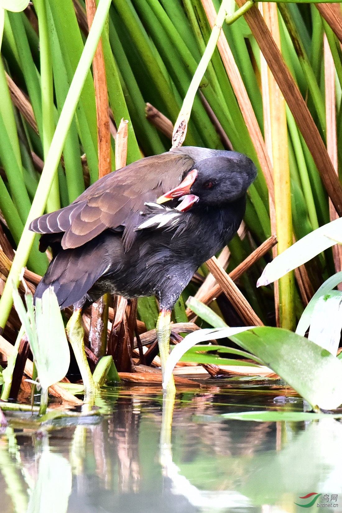 DSC_0228.JPG