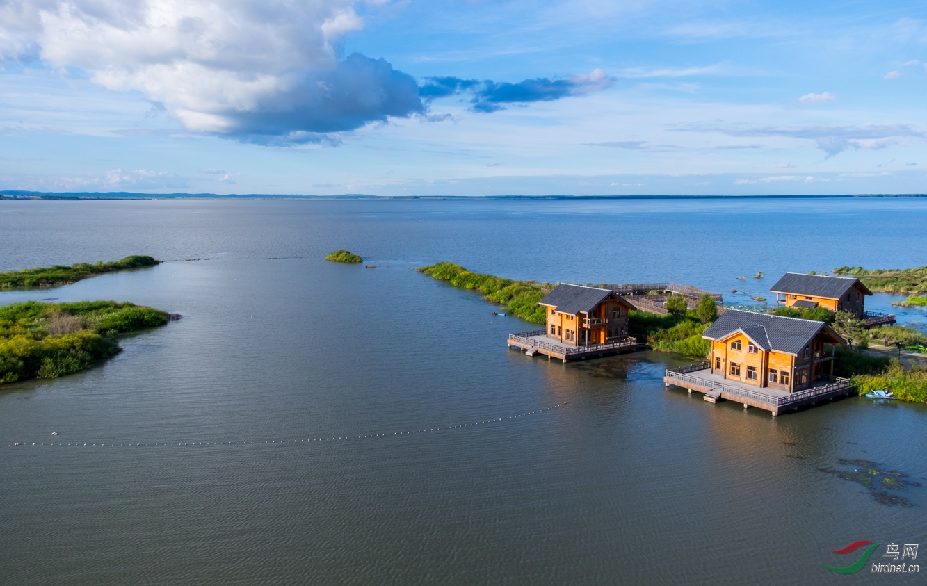 辽阔的黑龙江省的兴凯湖 - 地理风光版 鸟网