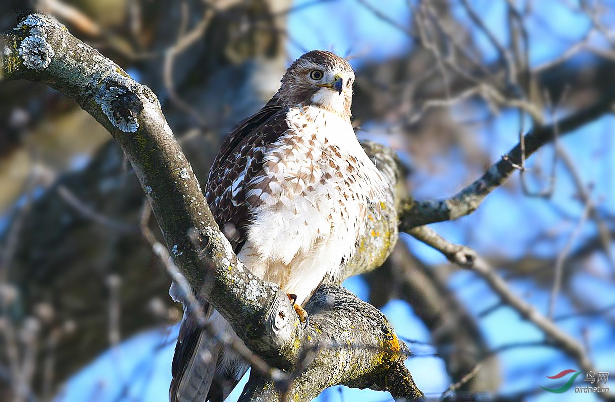 DSC_3156_���������յ�С