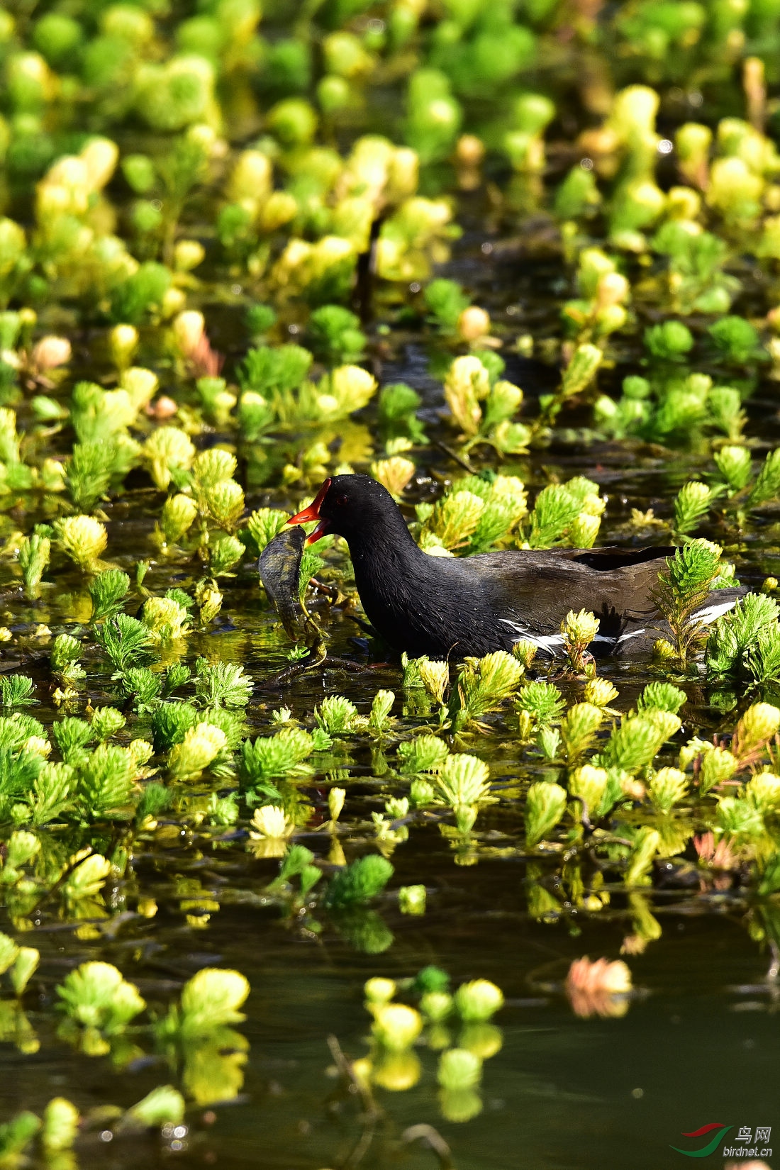 DSC_0231.JPG