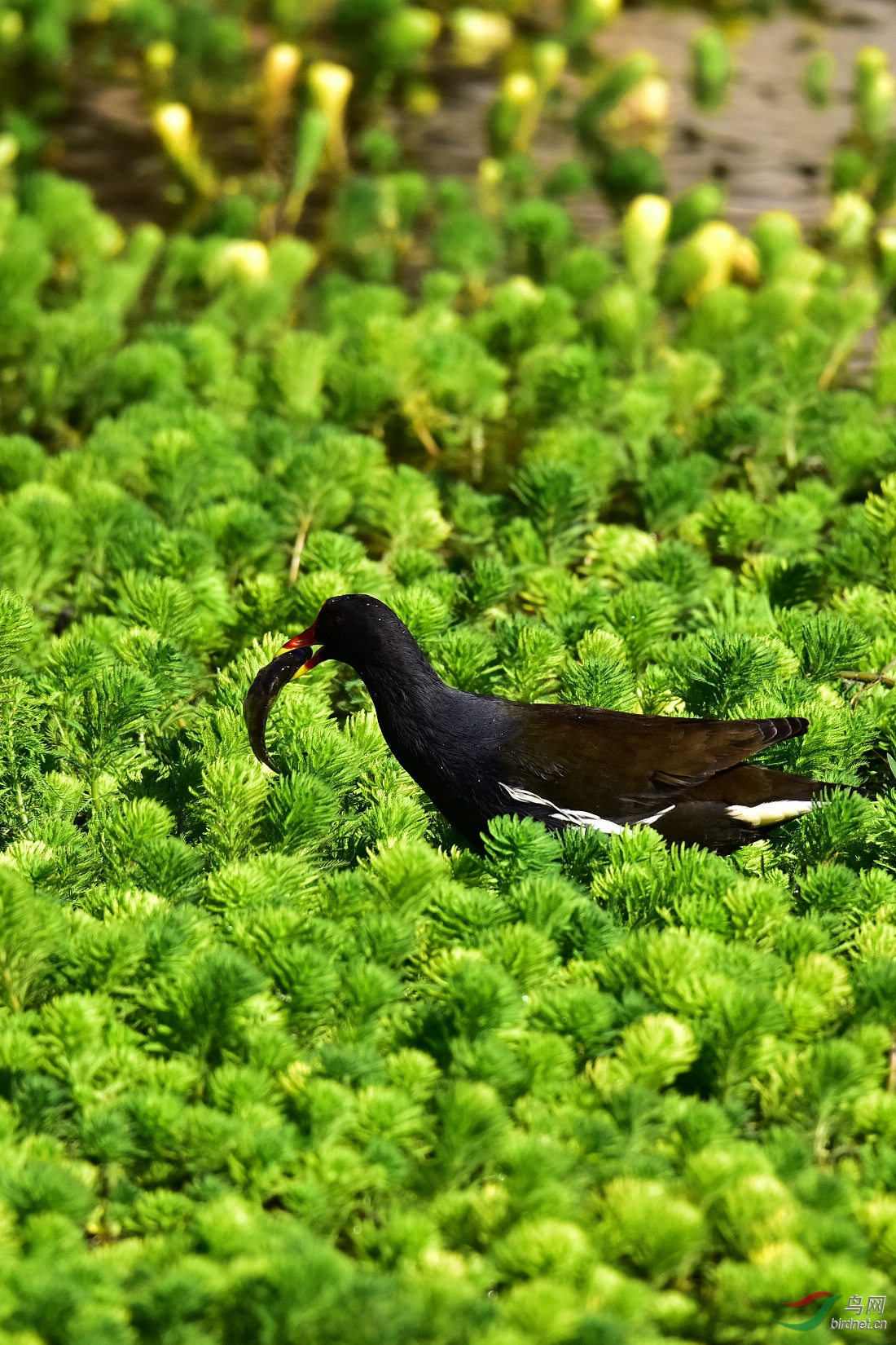 DSC_0256.JPG